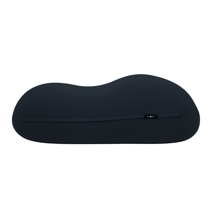 Moon Pod™ Bean Bag Chair & Reviews Wayfair